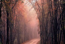 帕德博恩士气如虹，横扫绿茵铸就辉煌！