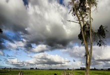 帕德博恩士气如虹，横扫绿茵铸就辉煌！