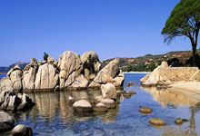 帕德博恩士气如虹，横扫绿茵铸就辉煌！